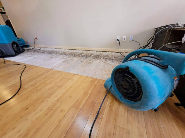 Professional Structural Drying technician working in Akron, CO